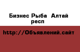 Бизнес Рыба. Алтай респ.